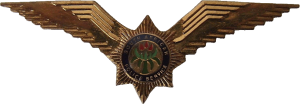 Нагрудный знак Пилот полиции 