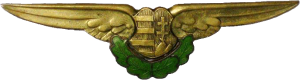 Нагрудный знак Пилот 