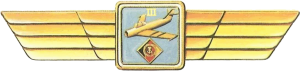 Нагрудный знак Пилот 3 класса 