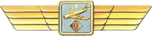 Badge Pilot 1st class 