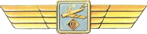 Badge Pilot 2nd class 
