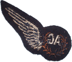 Badge Air gunner 