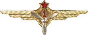 Badge Technician 1st class 