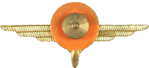 Нагрудный знак Авиатехник 1 класса 