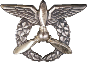 Нагрудный знак Авиатехник, наземный 