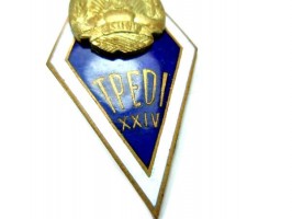 Badge  