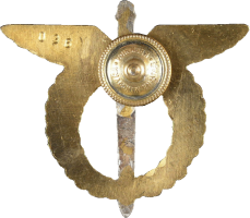 Нагрудный знак Пилот мастер 