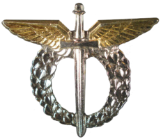 Badge Pilot 