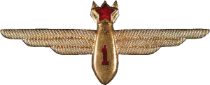 Badge Navigator 1st class 