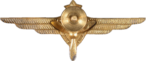 Badge Technician 2nd class 
