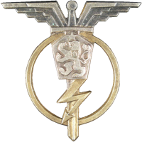 Badge Radioman 2nd class 