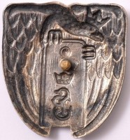 Нагрудный знак Инструктор пехотной школы Острув-Мазовецка 