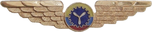 Badge Technician 