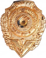 Нагрудный знак Отличник авиации 