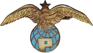 Нагрудный знак Пилот 