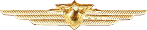 Badge Radioman 3rd class 