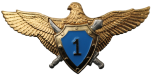 Badge Pilot 1st class 