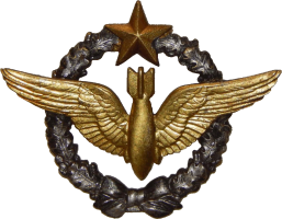 Badge Bombardier 