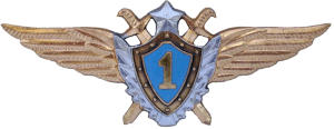 Badge Pilot 1st class 