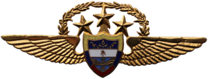 Badge Pilot 