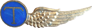 Badge Air Telegraphist 