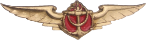 Badge Pilot 