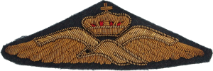 Badge Pilot 