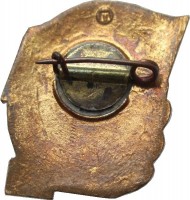 Badge  