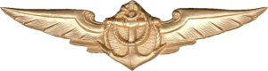 Badge Flight Engineer 