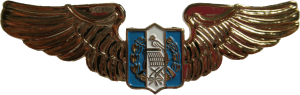 Badge Pilot 