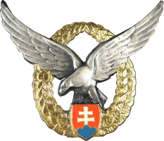 Badge Navigator 1st class 