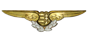 Нагрудный знак Штурман 