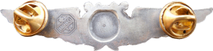Badge US Coast Guard Auxiliary Aviator Wing 