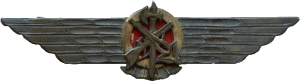 Badge Italian expeditionary force aviator 