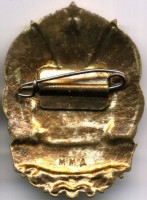 Badge  