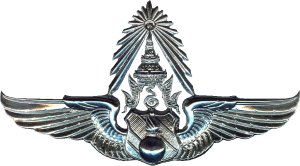 Badge Air Force Armament Master 