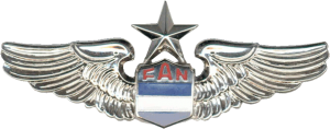 Нагрудный знак Старший пилот 
