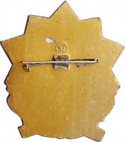 Нагрудный знак Ветеран 51 армии 