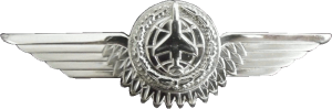 Нагрудный знак Наблюдатель 2 класса 