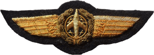 Badge Observer 3rd class 