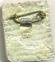 Нагрудный знак 1 разряд. Борьба дзюдо  
