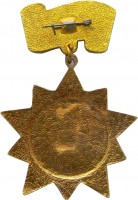 Нагрудный знак Уральский ВОЕННЫЙ ОКРУГ 
