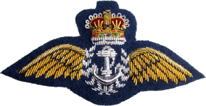 Badge Pilot 