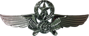 Нагрудный знак Мастер пилот 