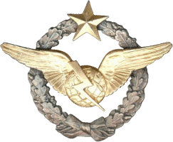 Нагрудный знак Штурман радио-оператор 