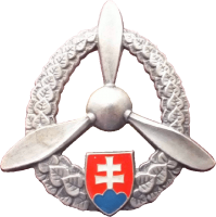 Badge Technician 2nd class 