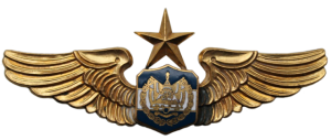 Badge  