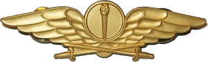 Нагрудный знак Разведка 