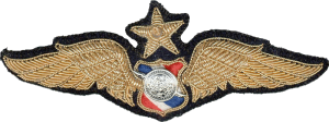 Нагрудный знак Старший пилот 