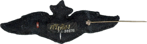 Нагрудный знак Старший пилот 